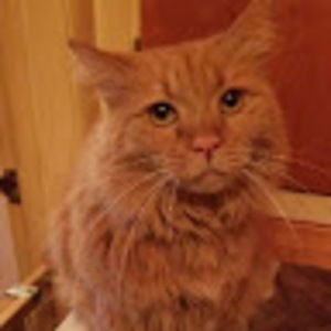 Meet your Posher, Casey